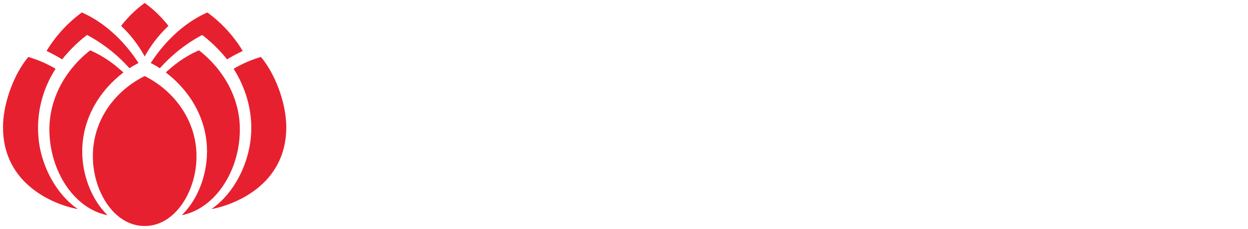 side-logo